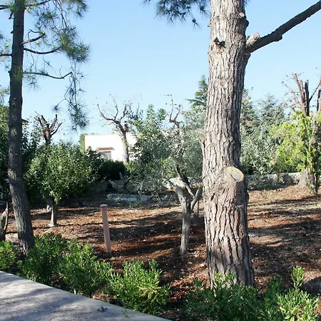 Appartement Casetta In Fiore Fasano