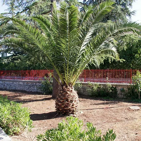 Apartment Casetta In Fiore *